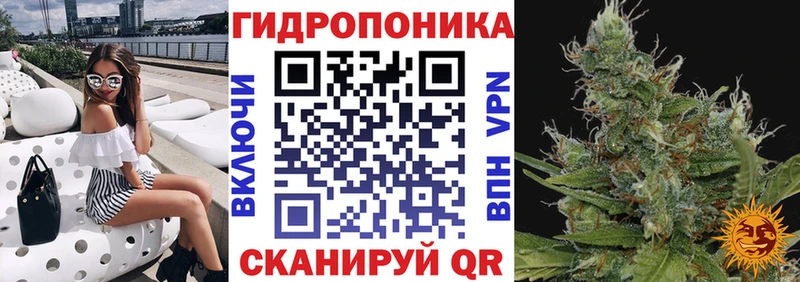 Купить закладки  Полярный  Канабис THC 21% 